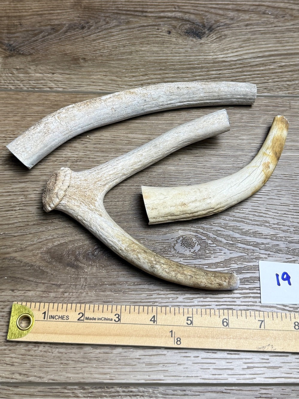 Natural Deer Antler Dog Chews – Mixed Sika, Fallow or Whitetail